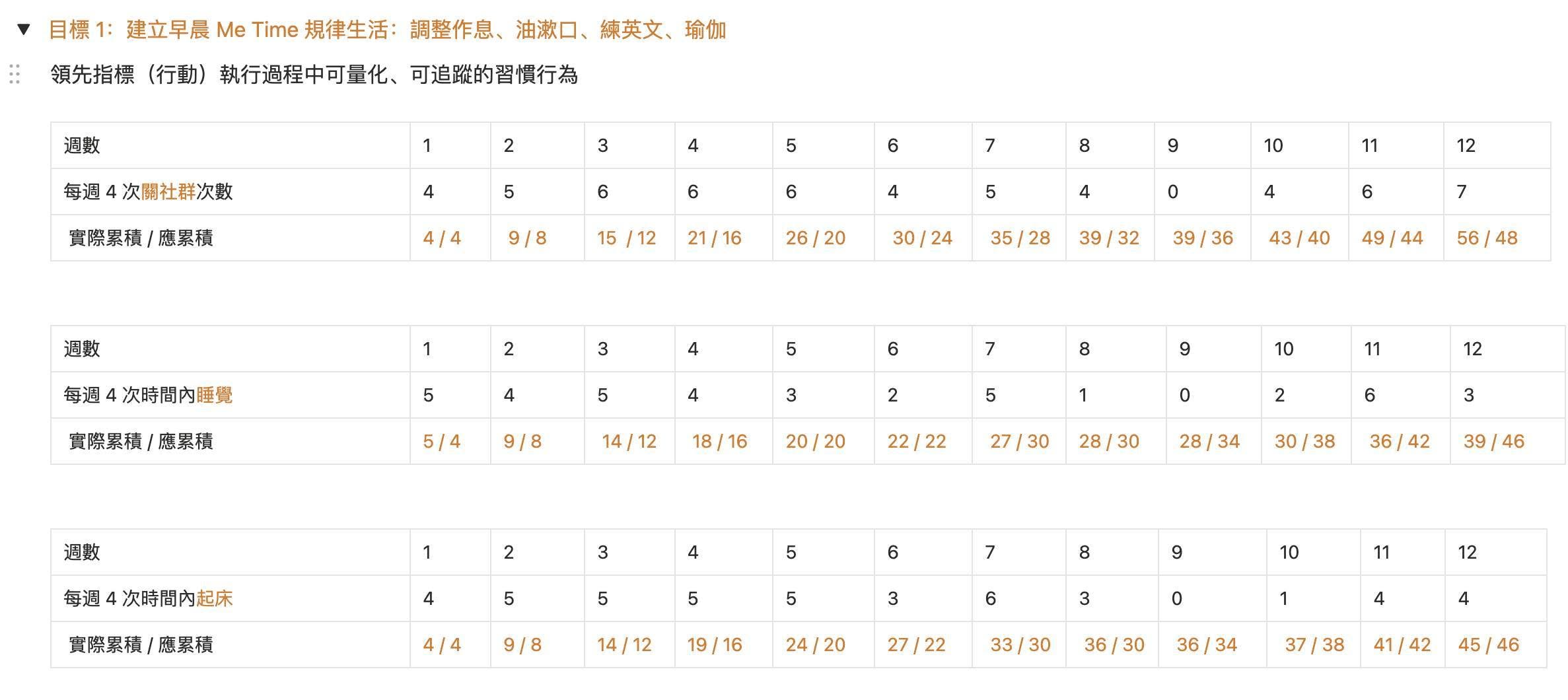 12 週執行追蹤表